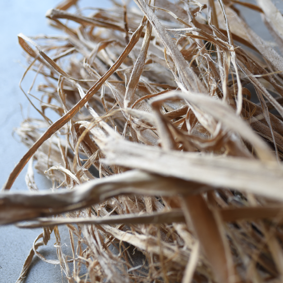 マニラ麻の繊維